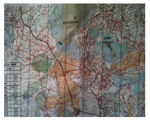 Mapa Marina García Tiomila