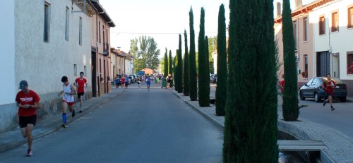 IV carrera orientación fundacioncerezalesantoninoycinia