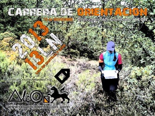 Cartel Liga Norte 2013