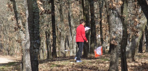 Monte San Isidro ALCON orientación