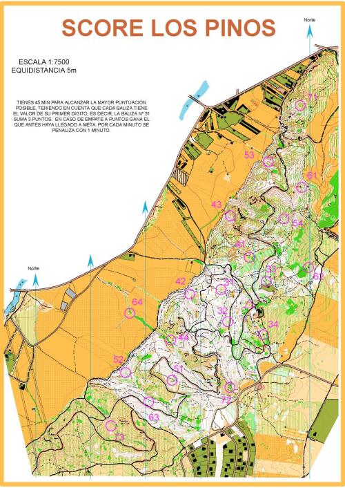 Score Pinos
