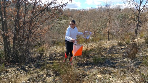 20180217_135327_1518890870814